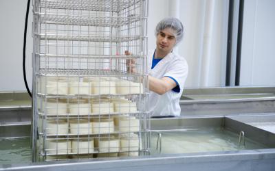 The cheeses are then placed on racks before going into brine,