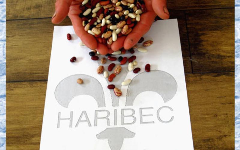 haribec