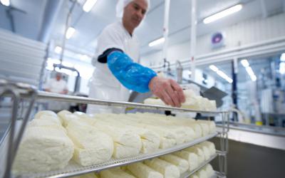 The cheeses are then placed on racks before going into brine,