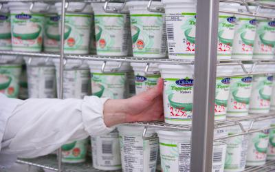 The jars are placed on racks before going into fermentation chambers,