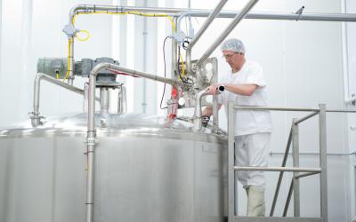 Le lait est transféré dans la cuve de mélange pour y ajouter la poudre de lait,