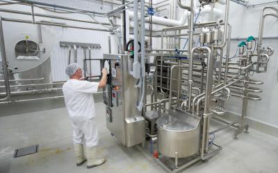 On pasteurise le lait pour détruire les bactéries qui sont nocives,